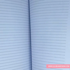 Open notebook with lined pages on a light blue background